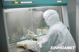 甲流疫苗批量啟動 生物制品生產的新突破與公眾健康保護網的構建